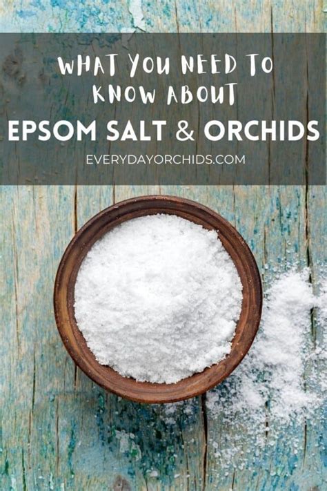 How To Use Epsom Salt On Your Orchids Everyday Orchids Orchid Plant Care Orchid Fertilizer