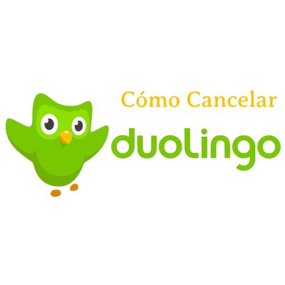 Como Cancelar Duolingo Cancelar Suscripci N Y La Prueba Gratis