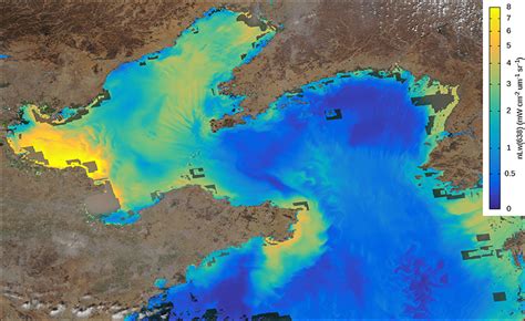 Interactive Online Maps Make Satellite Ocean Data Accessible - Eos