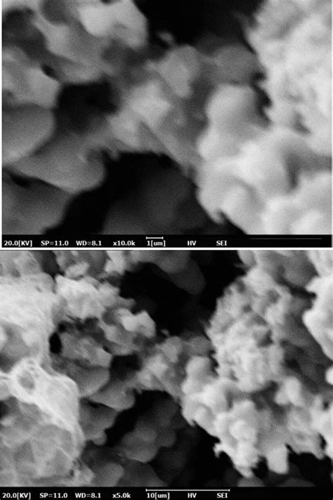 Surface Morphologies Of Lamno3 Powder Annealed At 500 °c Download