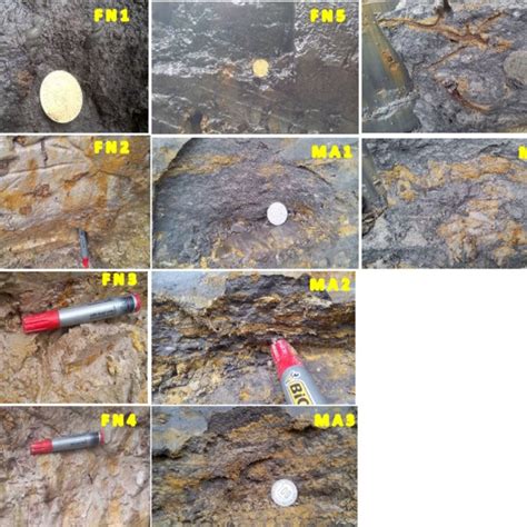 Outcrop Photography Showing Identified Sedimentary Facies Silty