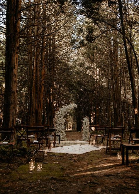 Enchanted Forest Lundy Farm Wedding Junebug Weddings Forest Wedding