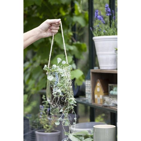 Cache Pot En Verre Transparent Suspendu Sur Corde Jute Ib Laursen