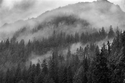 Mountain Fog in Black and White By Kathryn Photograph by Photography By Phos3 Kathryn Parent and ...