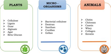 Biopolymer classification based on availability (Ibrahim et al. 2019 ...