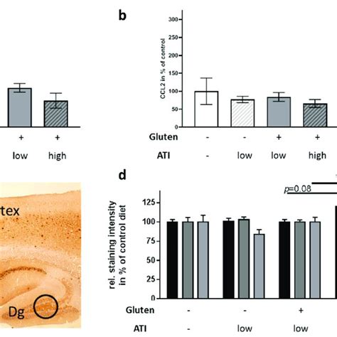 Inflammatory Markers And Plaque Deposition In The Brain Of Xfad Mice