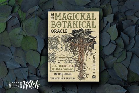 Review The Magickal Botanical Oracle Modern Witch