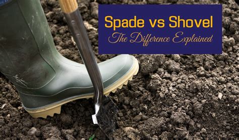 Spade Vs Shovel The Difference Explained