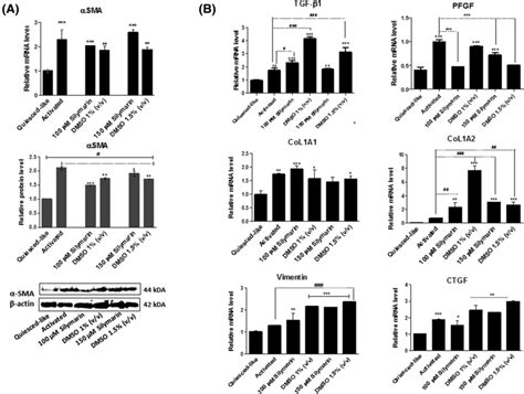 Silymarin Effects On Pro Fibrogenic Elements In Lx Cells A Relative