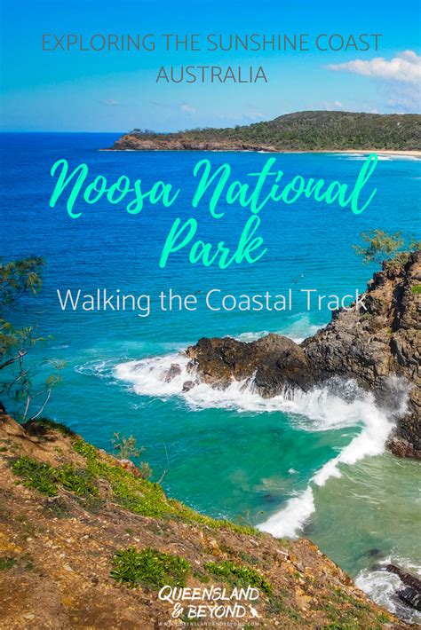 Hiking the coastal track in noosa national park – Artofit