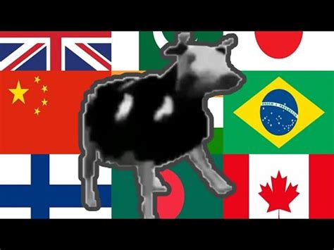 Polish Cow In Differnt Languages Memes Pokapoka Googletranslat YouTube