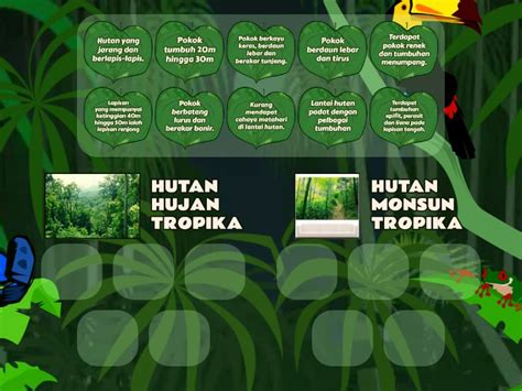 Ciri Ciri Tumbuh Tumbuhan Semula Jadi Di Hutan Hujan Tropika Dan Hutan