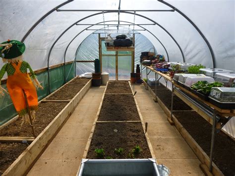 Our New Life In The Country Polytunnel Views Planting And Live