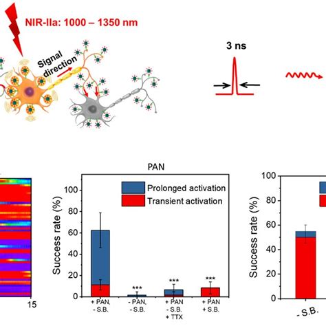 Nanotransducer Mediated Optoacoustic Neural Stimulation A Scheme Of