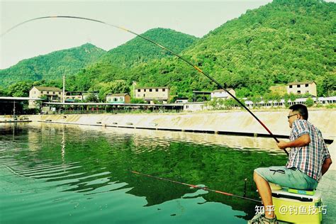 钓大青鱼，螺蛳、玉米和颗粒哪个最好用？钓青鱼饵料的效果对比 知乎