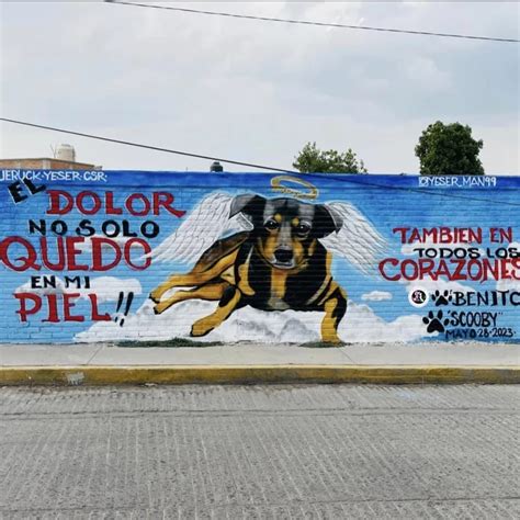 Crean Mural En Honor A Scooby El Perro Que Fue Arrojado A Un Cazo De Aceite Hirviendo Infobae