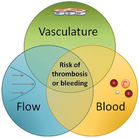 Figure 1 From Procoagulant Activity In Hemostasis And Thrombosis Virchow S Triad Revisited