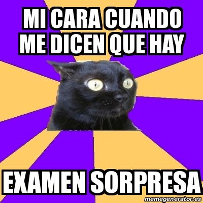 Meme Anxiety Cat Mi Cara Cuando Me Dicen Que Hay Examen Sorpresa