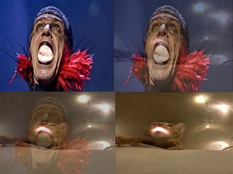 Create Meme Rammstein Till Lindemann Rammstein Pictures Meme