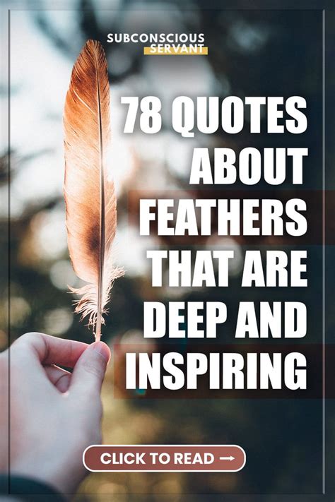 Quotes About Feathers That Are Deep And Inspiring Feather Quotes