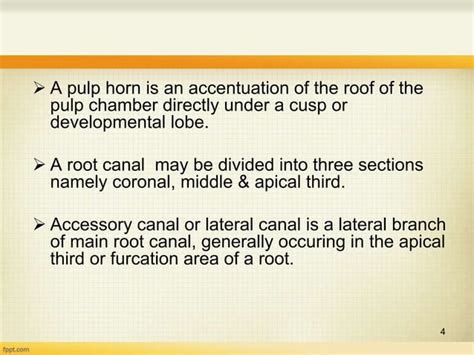 Internal anatomy of anterior tooth | PPT