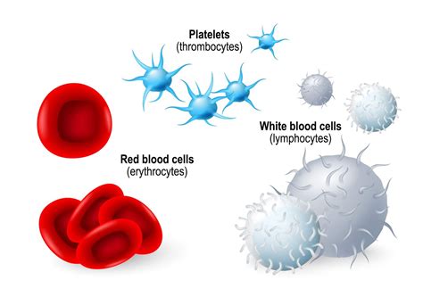 sullivan  platelet problems