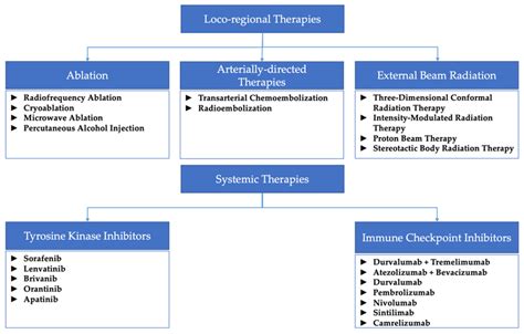 Diagram Summarizing The Locoregional And Systemic Therapies Mentioned