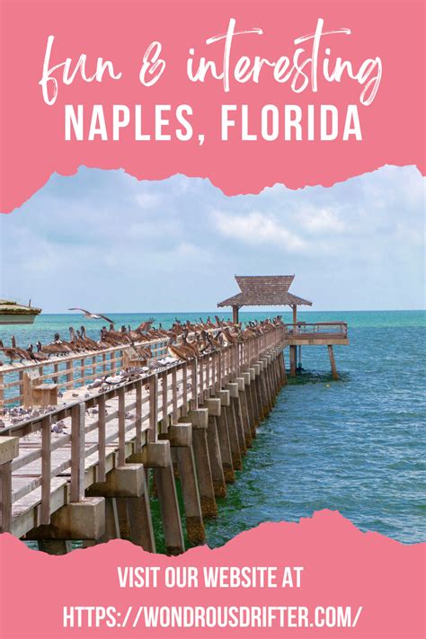 Best Things To Do In Naples Florida Artofit