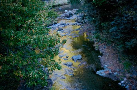 Free Images Tree Nature Forest Creek Wilderness Sunlight Leaf