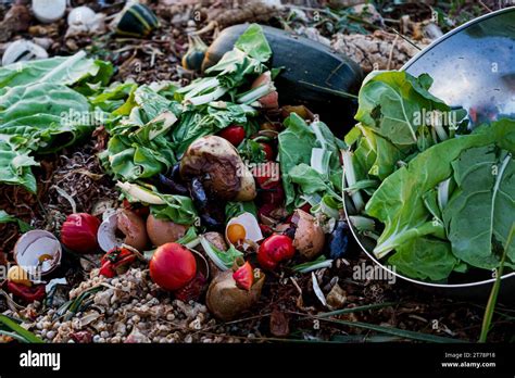 Tas De Compost D Chets Organiques En D Composition D Chets