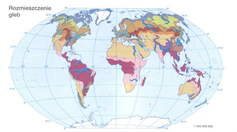 Wykres Rozmieszczenie Gleb Na Kuli Ziemskiej Mapa Quizlet