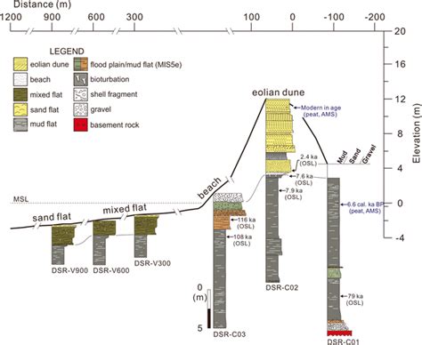 Schematic Stratigraphy Reconstructed From Vibro And Drill Cores