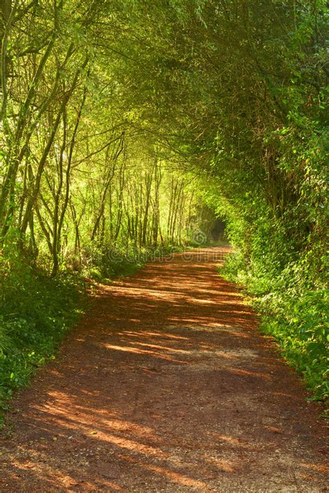 Salburua Park In The City Of Vitoria Stock Image Image Of Fauna