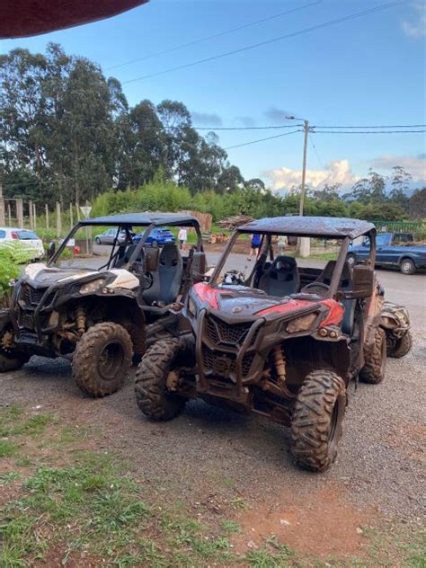 From Madeira Private Buggy Driving Experience With Pickup GetYourGuide