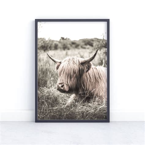 Highland Cow Print Farmhouse Prints Farmhouse Wall Decor Etsy Uk