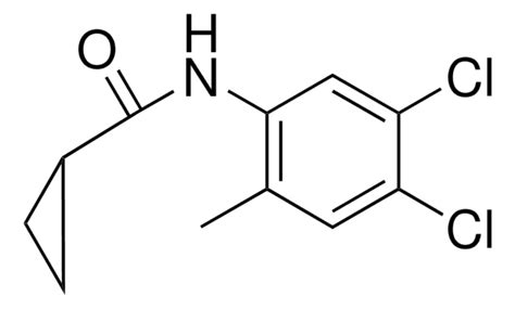 N 4 5 DICHLORO 2 METHYLPHENYL CYCLOPROPANECARBOXAMIDE AldrichCPR