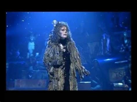 Cats Musical London Memory - Cats Family