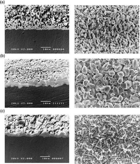 Microstructures Of Different Morphologies Of Imc Film In Cross Section