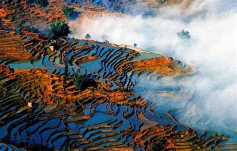 China S Five Most Beautiful Rice Terraces Tour Yunnan Province China Synotrip Rice