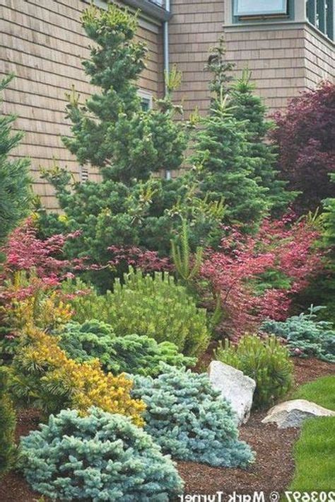 72 Conifer Beds Ideas In 2021 Conifers Garden Garden Design Conifers