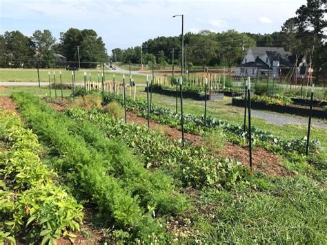 Vines Community Garden Gwinnett County Master Gardeners Association