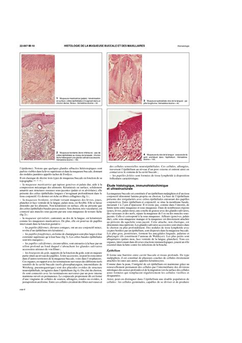 Solution Histologie De La Muqueuse Buccale Et Des Maxillaires Studypool