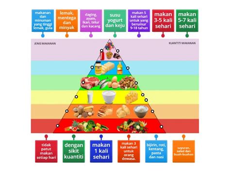 Piramid Makanan Labelled Diagram