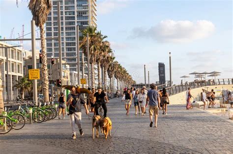 Skyline And Sand Beaches Of Tel Aviv City On Sunset People Walk Along