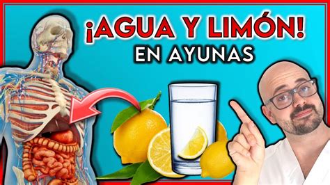 Beneficios De Tomar Agua Tibia Con Lim N En Ayunas