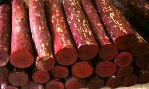 Chittoor Police Seizes Red Sandalwood Logs Worth Rs Crores Four