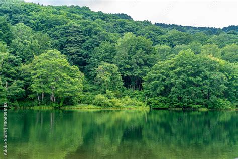 Goshiki Numa Lake In Nishikawa Machi Yamagata Prefecture Japan