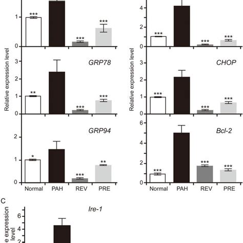 Effects Of 4 PBA On Gene Expression Levels In The Main Branches Of The