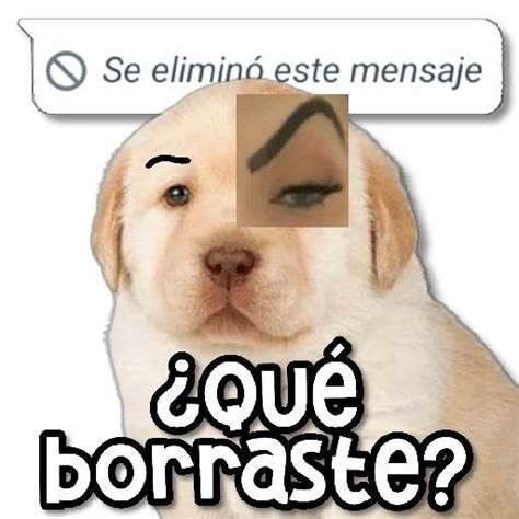 Pin En Memes Frases Chistosas Para Whatsapp Nuevos Emoticones Para