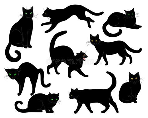 Silhouet van Katten vector illustratie Illustration of geïsoleerd